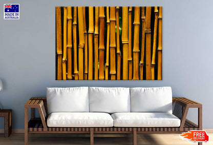 Bamboo Closeup View Photograph Print 100% Australian Made