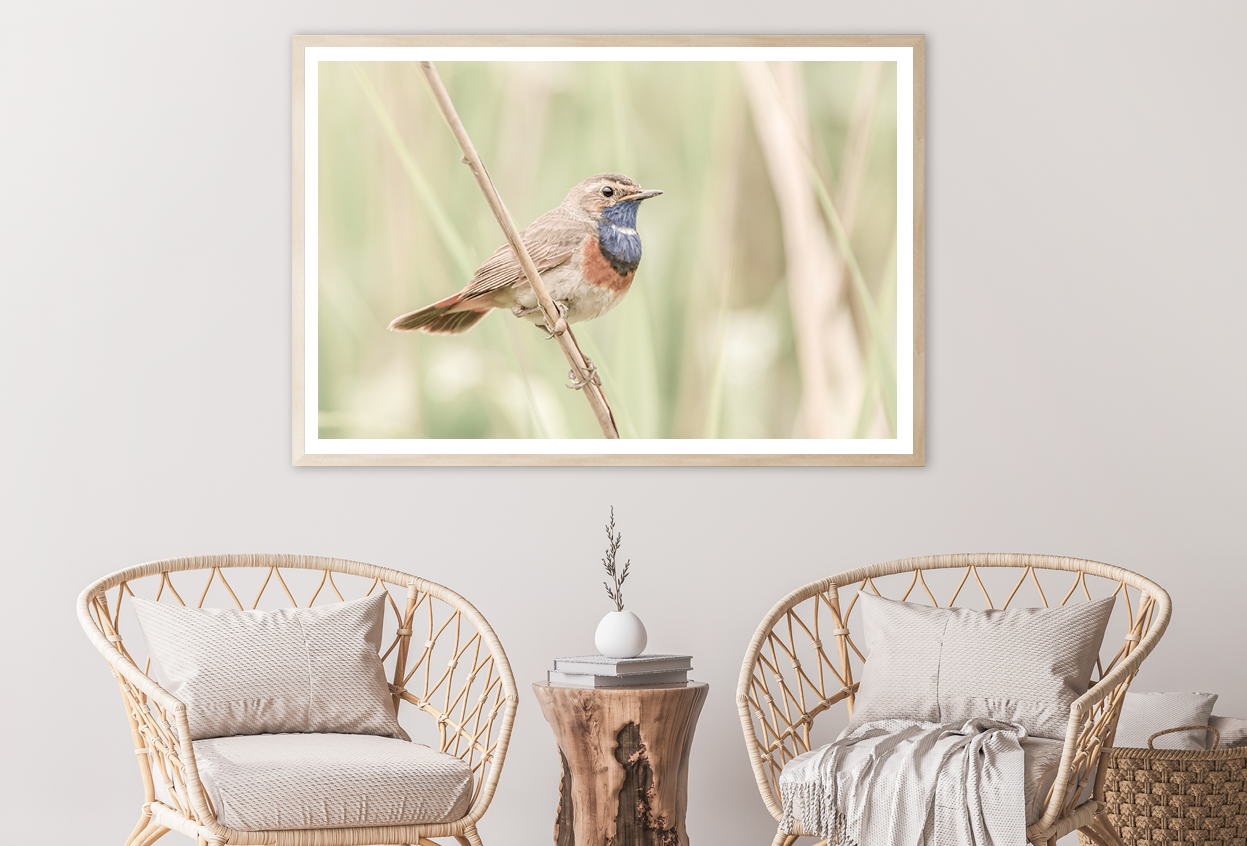 Bird on Tree Branch View Photograph Home Decor Premium Quality Poster Print Choose Your Sizes