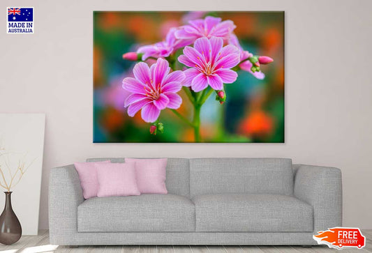 Pink Lewisia Flowers Closeup View Photograph Print 100% Australian Made