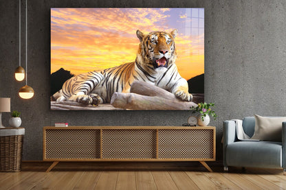 Tiger Sunset Sky View Print Tempered Glass Wall Art 100% Made in Australia Ready to Hang