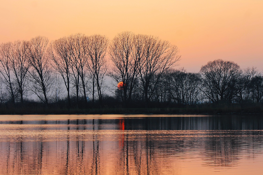 Lake & Trees Sunset Scenery Photograph Print 100% Australian Made