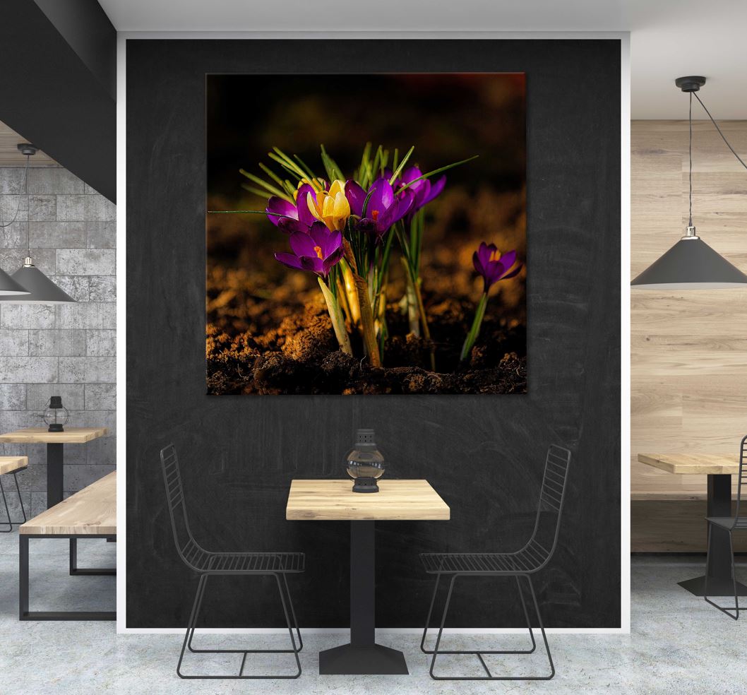 Square Canvas Purple Yellow Blumen Flowers Photograph High Quality Print 100% Australian Made