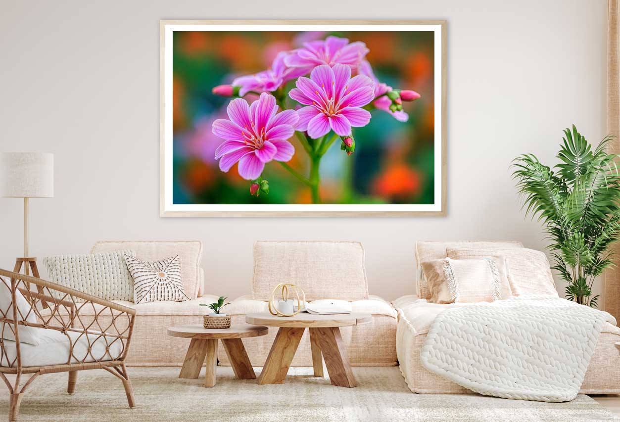 Pink Lewisia Flowers Closeup View Photograph Home Decor Premium Quality Poster Print Choose Your Sizes