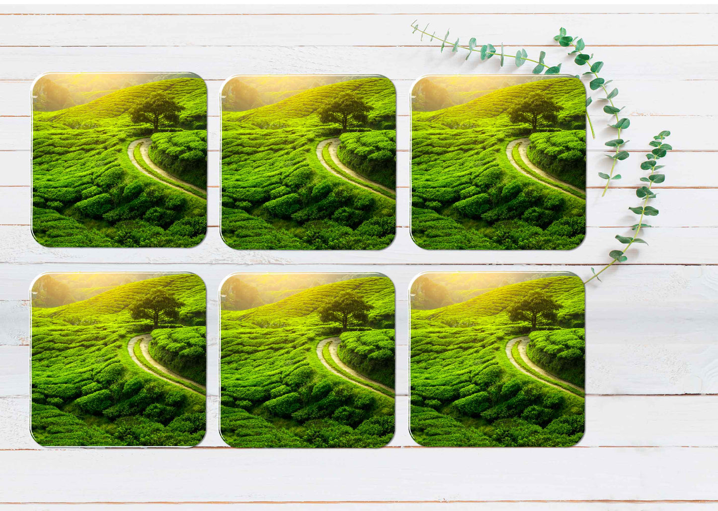 Tea Plantation With Sunset Coasters Wood & Rubber - Set of 6 Coasters