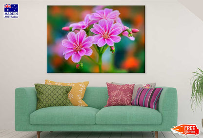 Pink Lewisia Flowers Closeup View Photograph Print 100% Australian Made