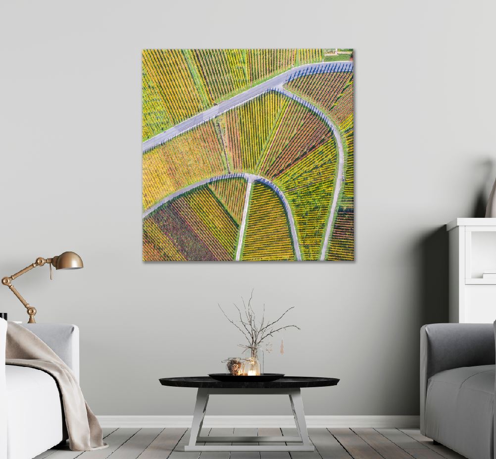 Square Canvas Wine Autumn Field Aerial View Photograph High Quality Print 100% Australian Made