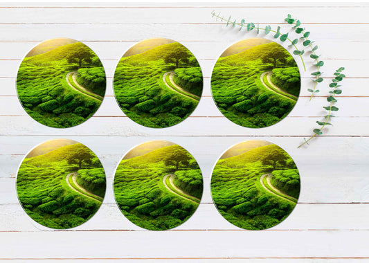 Tea Plantation With Sunset Coasters Wood & Rubber - Set of 6 Coasters