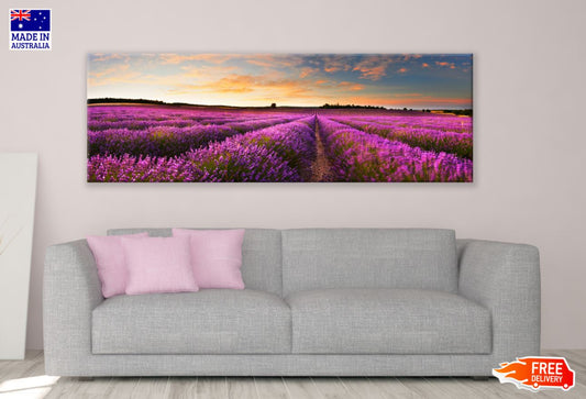 Panoramic Canvas Lavender Floral Field Scenery Photograph High Quality 100% Australian made wall Canvas Print ready to hang