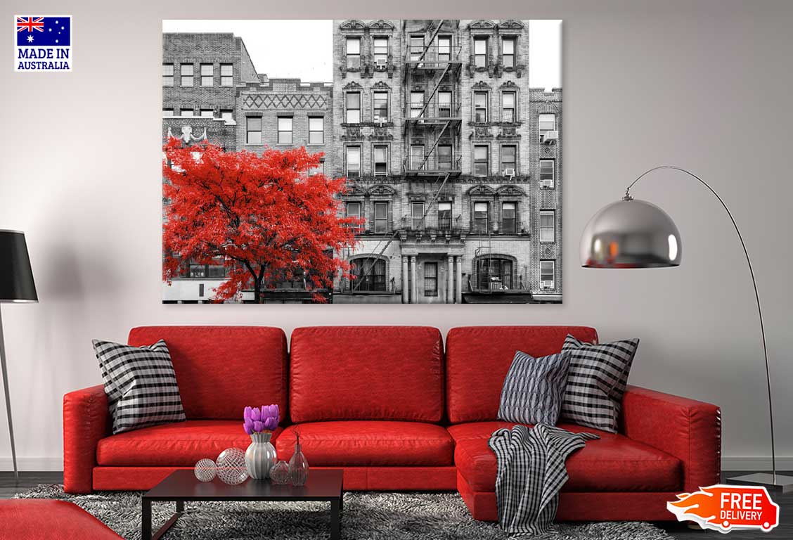 East Village & Red Tree B&W View Photograph Print 100% Australian Made