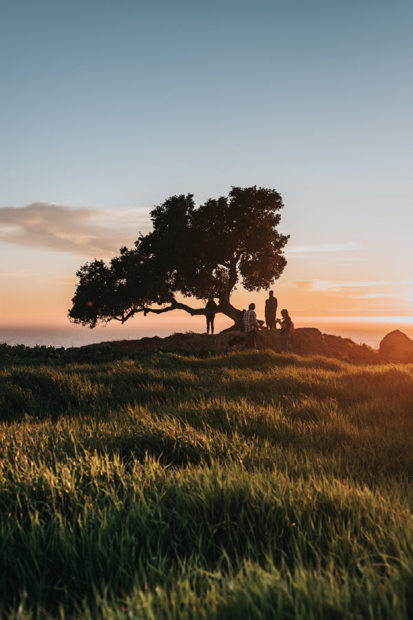 People near Tree Sunset Scenery Photograph Print 100% Australian Made