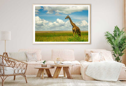 Giraffe on Green Grass Field View Photograph Home Decor Premium Quality Poster Print Choose Your Sizes