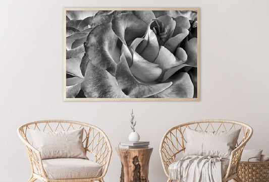 Rose Flower Petals Closeup B&W Photograph Home Decor Premium Quality Poster Print Choose Your Sizes