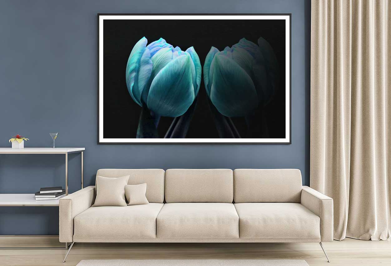 Green Blue Tulip on Dark View Photograph Home Decor Premium Quality Poster Print Choose Your Sizes