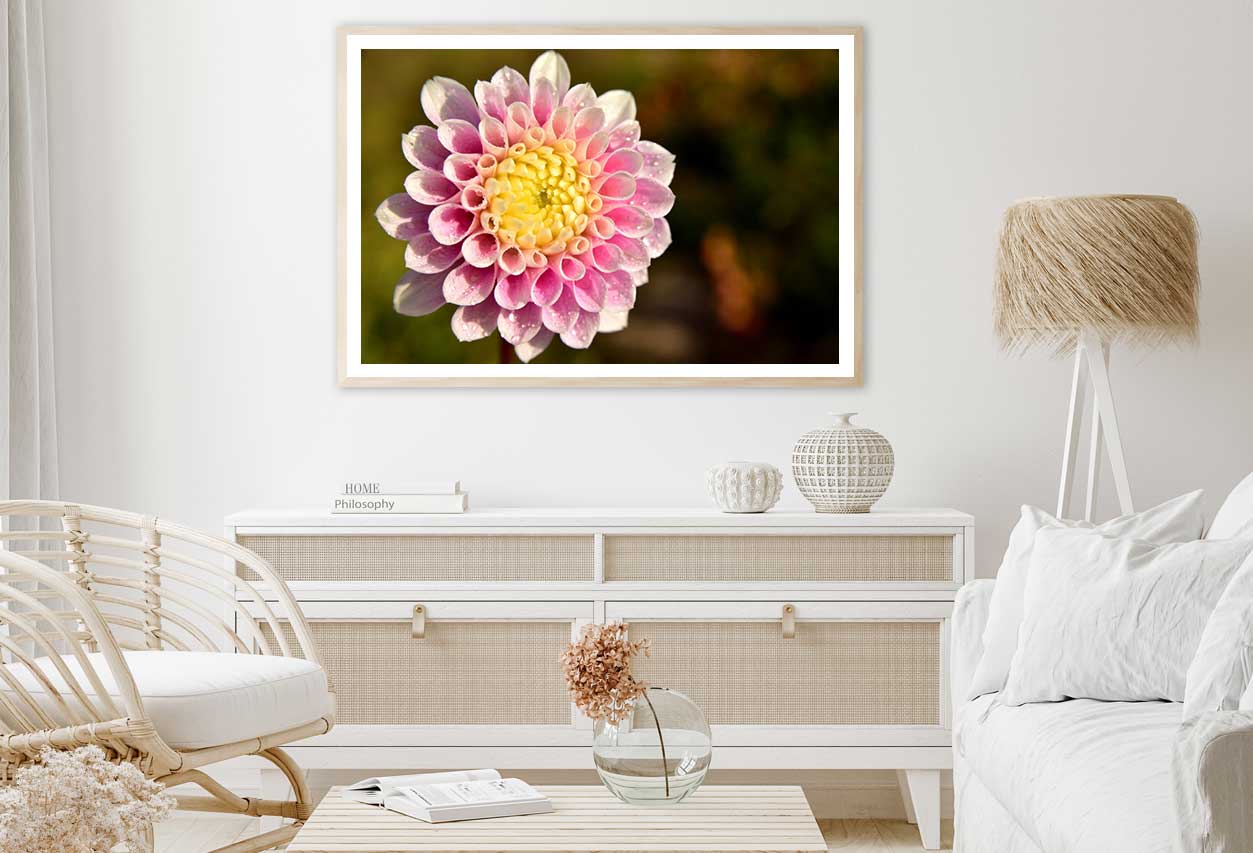 White Pink Dahlia Closeup View Photograph Home Decor Premium Quality Poster Print Choose Your Sizes