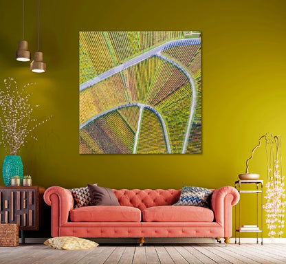 Square Canvas Wine Autumn Field Aerial View Photograph High Quality Print 100% Australian Made