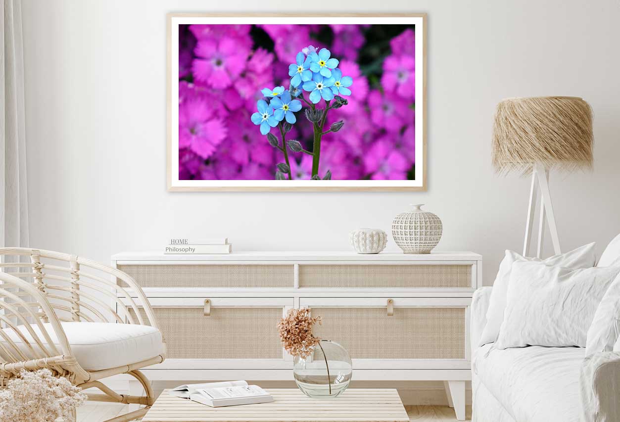 Myosotis Alpestris Blue Flowers View Photograph Home Decor Premium Quality Poster Print Choose Your Sizes