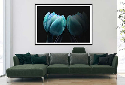 Green Blue Tulip on Dark View Photograph Home Decor Premium Quality Poster Print Choose Your Sizes