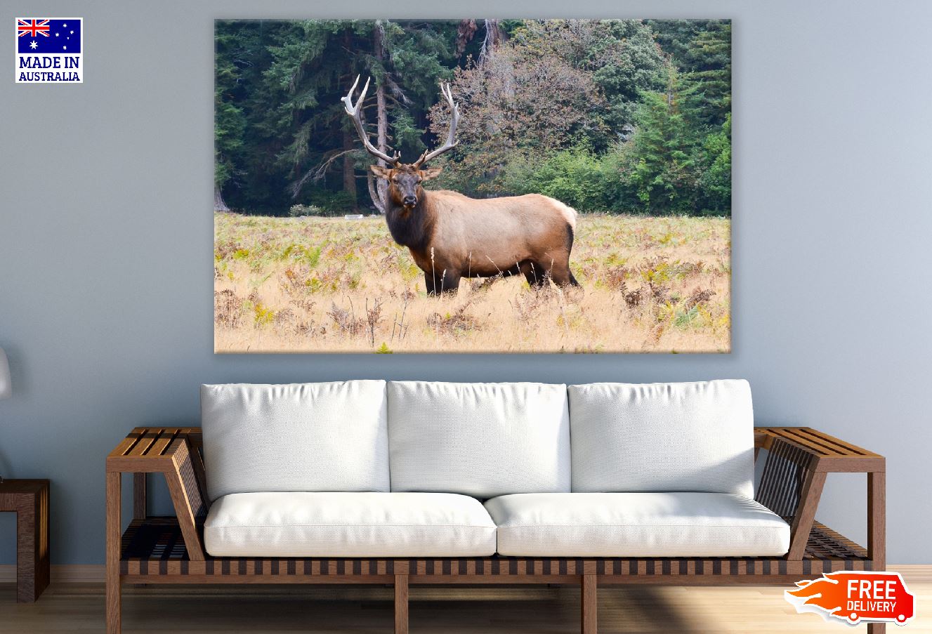 Elk in Forest Photograph Print 100% Australian Made