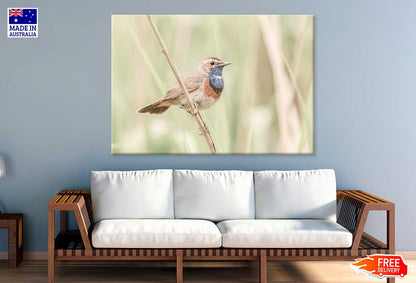 Bird on Tree Branch View Photograph Print 100% Australian Made