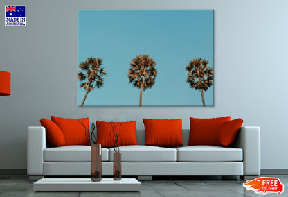 Tropical Palm Trees on Blue Sky Photograph Print 100% Australian Made