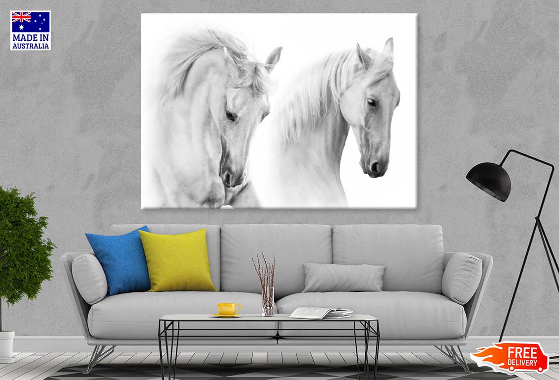 White Horses Closeup Photograph Print 100% Australian Made