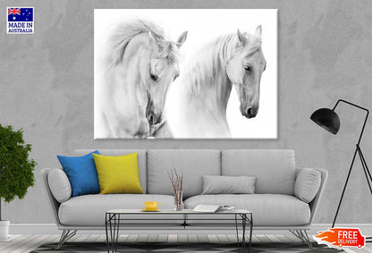 White Horses Closeup Photograph Print 100% Australian Made