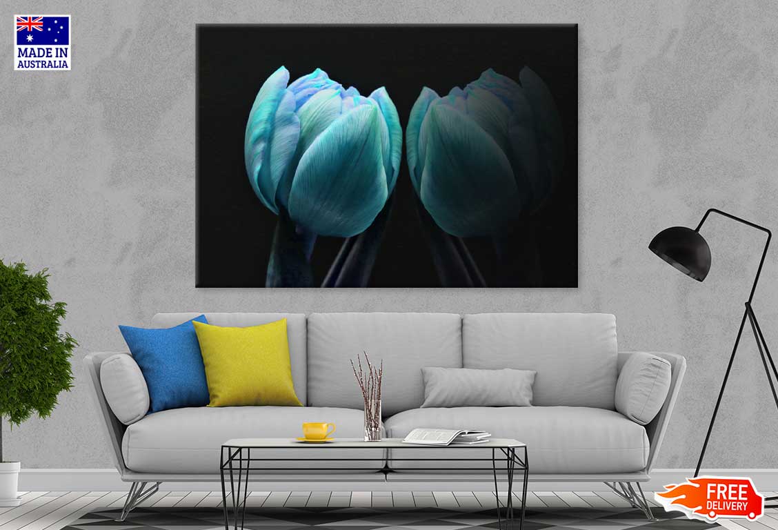 Green Blue Tulip on Dark View Photograph Print 100% Australian Made