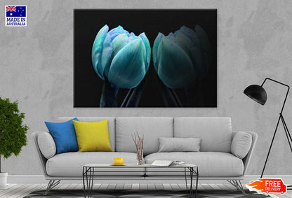 Green Blue Tulip on Dark View Photograph Print 100% Australian Made