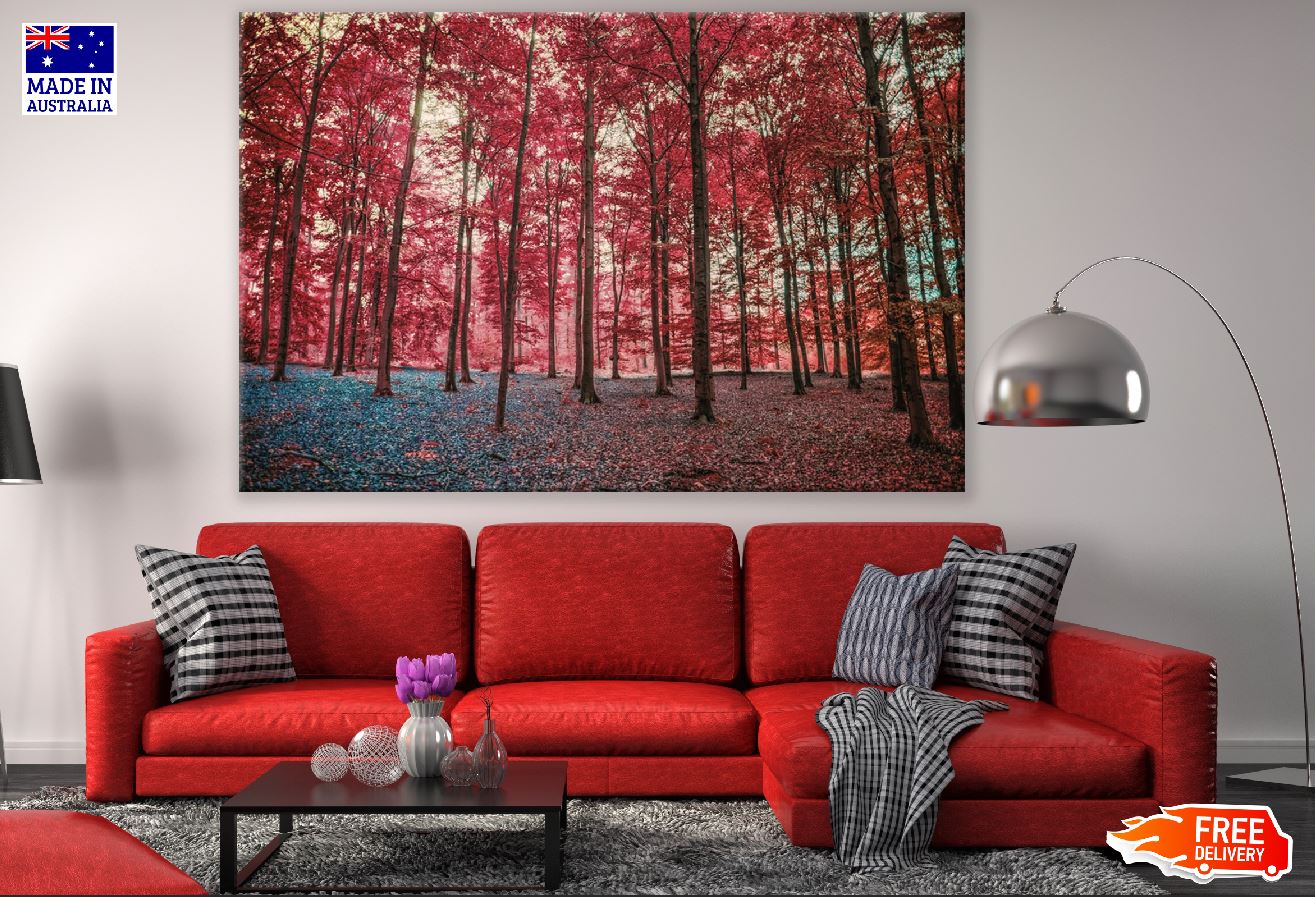 Autumn Red Blossom Trees Forest Photograph Print 100% Australian Made