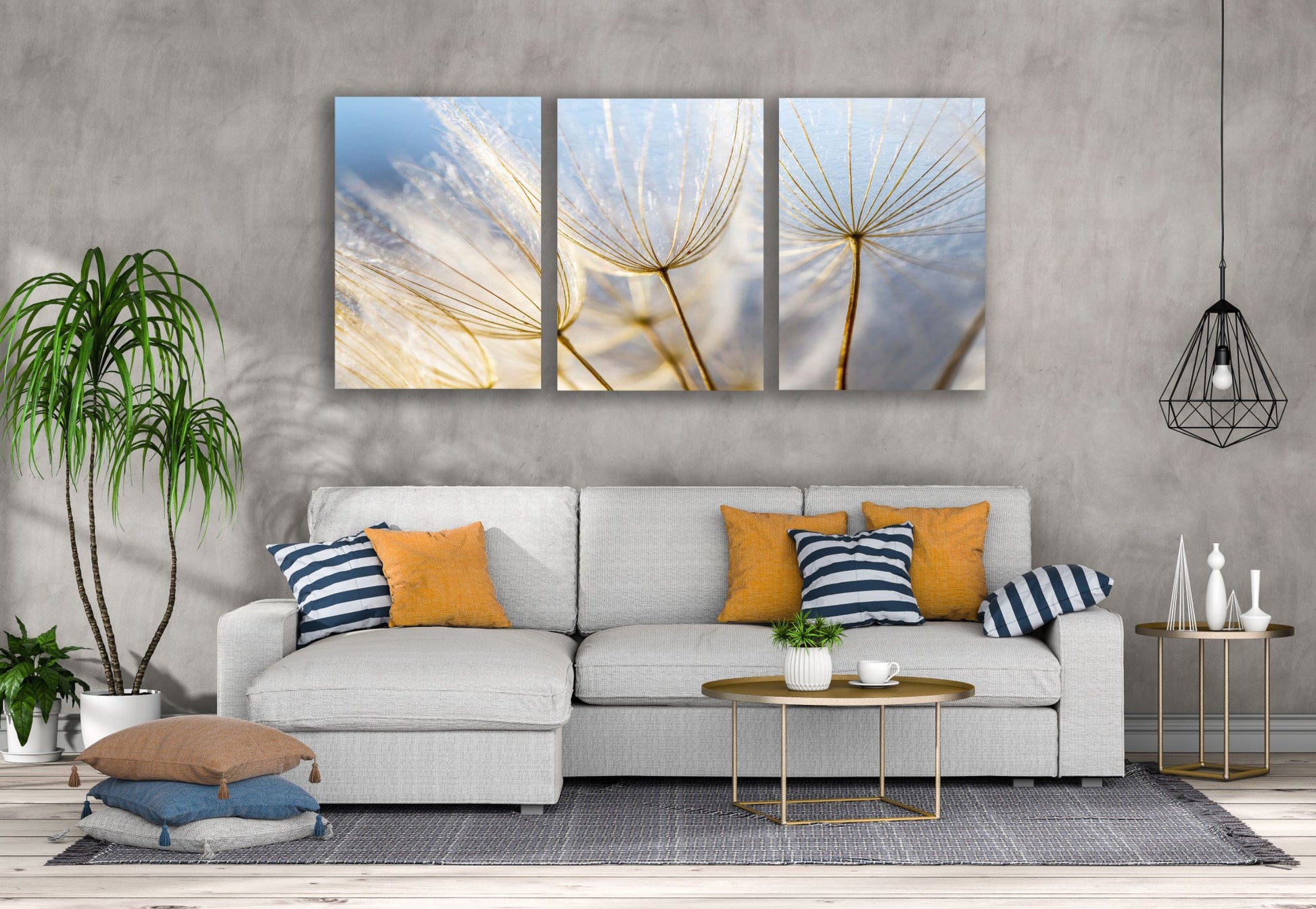 3 Set of Dandelion Flowers Closeup Photograph High Quality Print 100% Australian Made Wall Canvas Ready to Hang