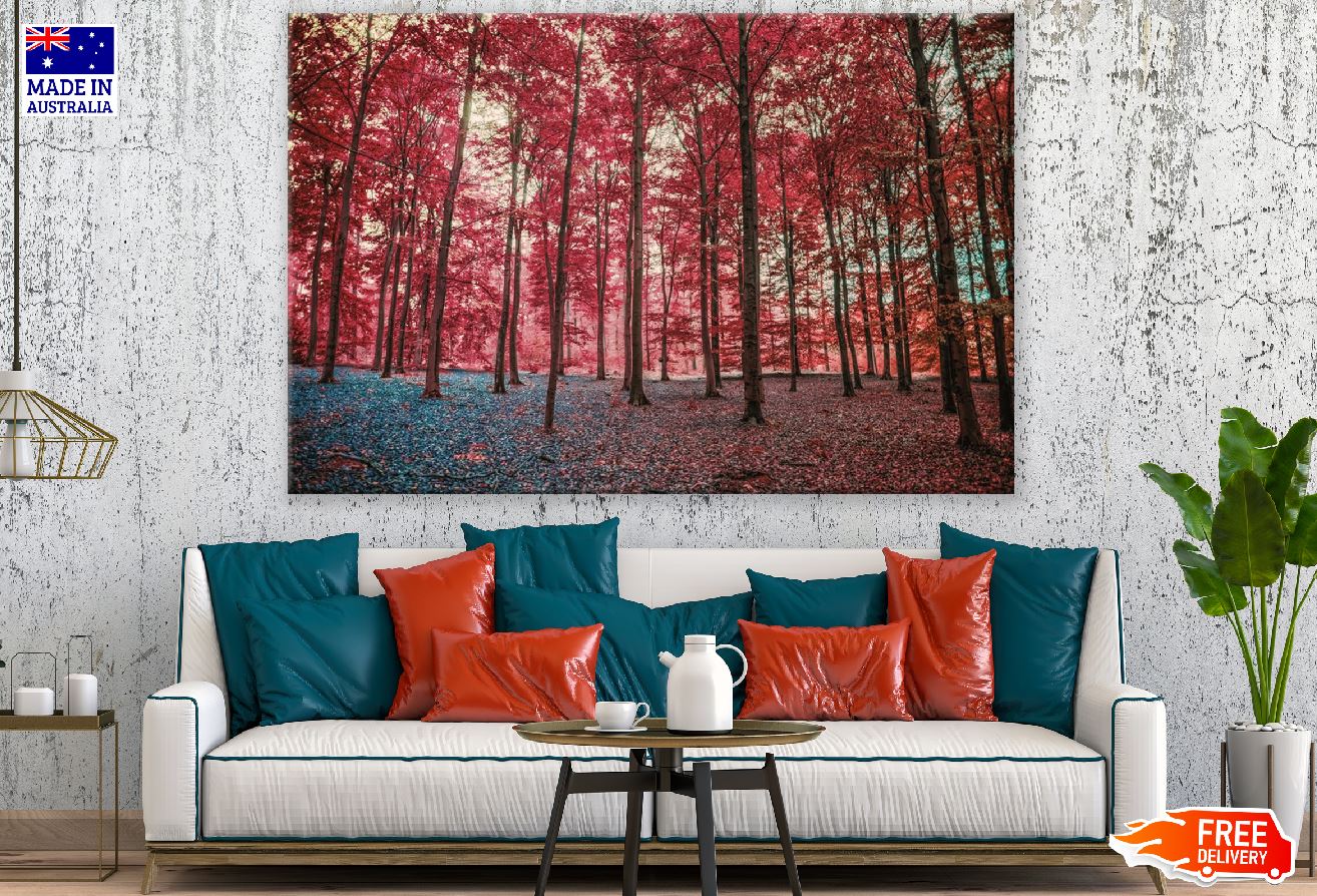 Autumn Red Blossom Trees Forest Photograph Print 100% Australian Made