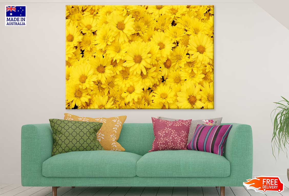 Yellow Daisy Flowers Photograph Print 100% Australian Made