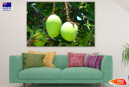 Mango Fruits Closeup Photograph Print 100% Australian Made