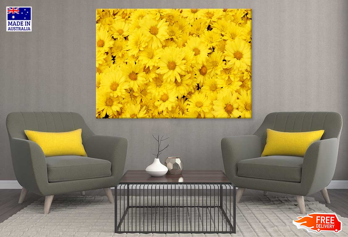 Yellow Daisy Flowers Photograph Print 100% Australian Made