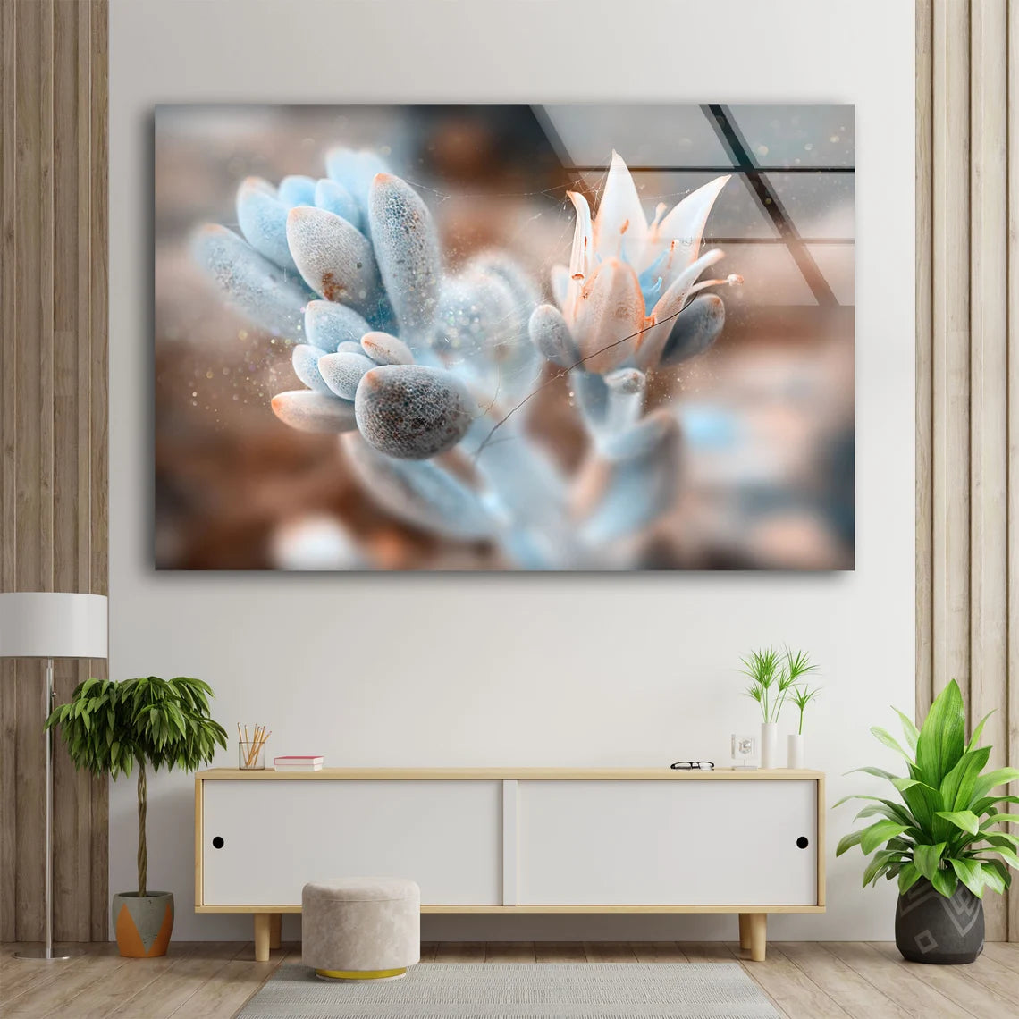 Flower Closeup Photograph Acrylic Glass Print Tempered Glass Wall Art 100% Made in Australia Ready to Hang