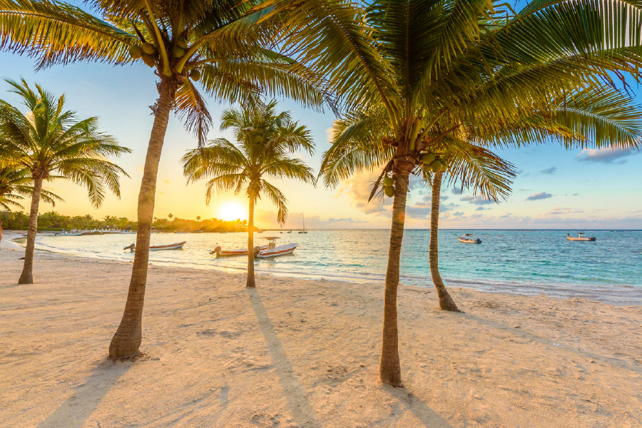 Akumal bay with Palm Trees Mexico Print 100% Australian Made