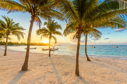 Akumal bay with Palm Trees Mexico Print 100% Australian Made