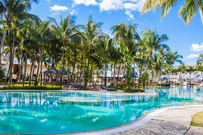 Palm Trees & Pool Photograph Print 100% Australian Made