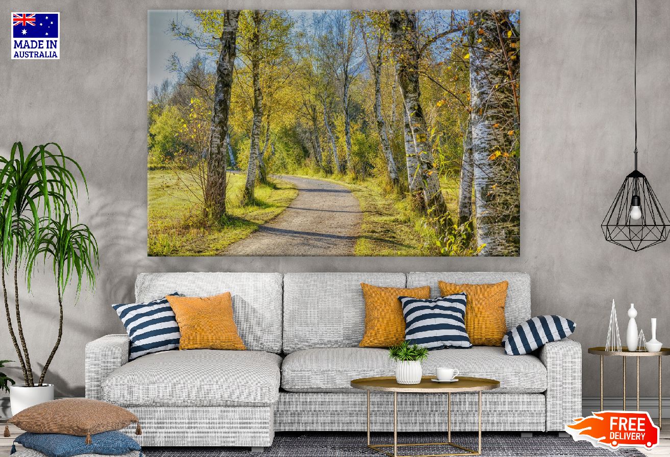 Yellow Autumn Tree Pathway Photograph Print 100% Australian Made