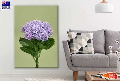 Hydrangea Flowers Closeup Photograph Print 100% Australian Made