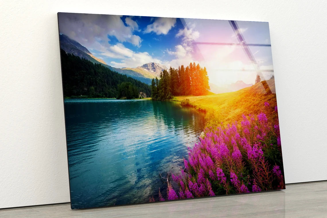 Lake Forest & Flowers Photograph Acrylic Glass Print Tempered Glass Wall Art 100% Made in Australia Ready to Hang