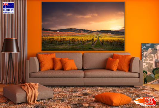 Vineyard in Sunset Photograph Print 100% Australian Made