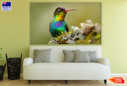 Humming Bird On a Flower Branch Print 100% Australian Made