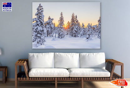 Snow Covered Trees Sunset Photograph Print 100% Australian Made