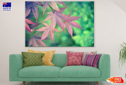 Pink Maple Leaves Photograph Print 100% Australian Made