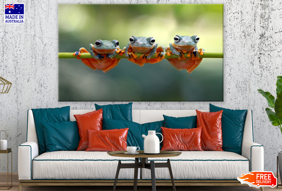 Three Frogs Hanging Print 100% Australian Made