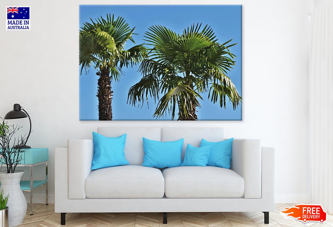 Palm Trees Closeup Photograph Print 100% Australian Made