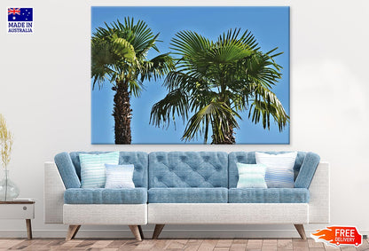 Palm Trees Closeup Photograph Print 100% Australian Made