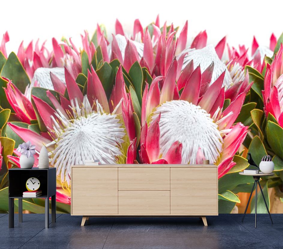 Wallpaper Murals Peel and Stick Removable King Protea Flower High Quality