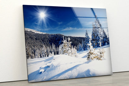 Snow Covered Forest Photograph Acrylic Glass Print Tempered Glass Wall Art 100% Made in Australia Ready to Hang